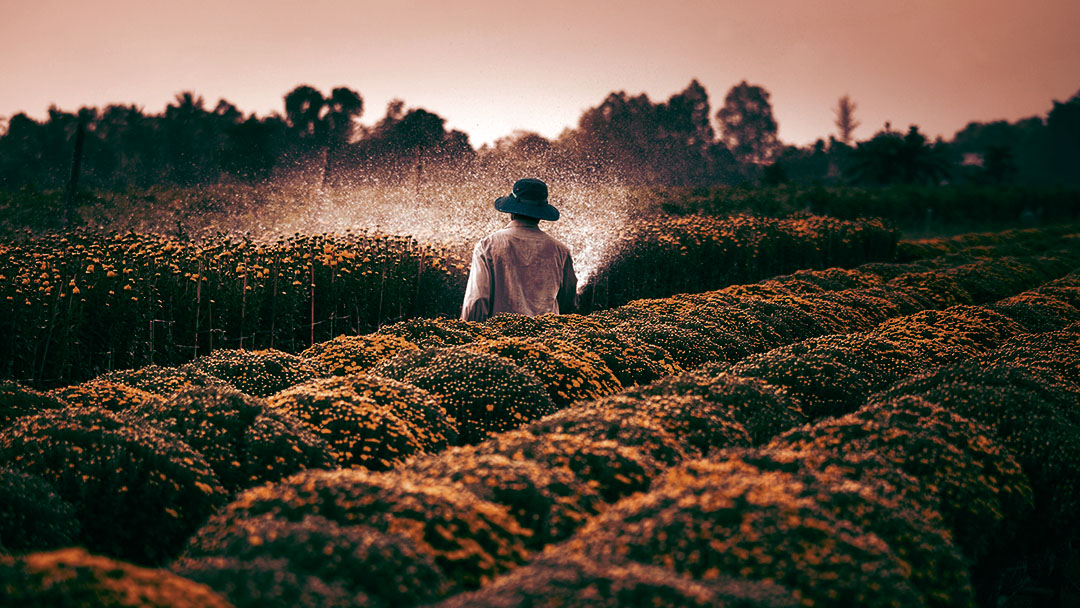 GIS in Agriculture
